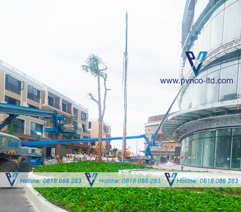 Quy trình thuê xe nâng người boom lift